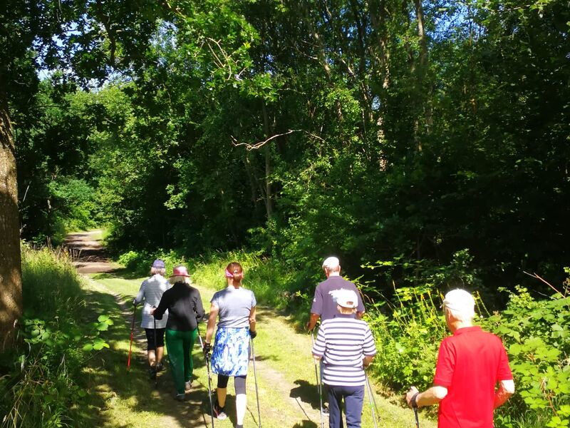 6 Personen die mit ihren Walking Stöcken einen Pfad längs gehen
